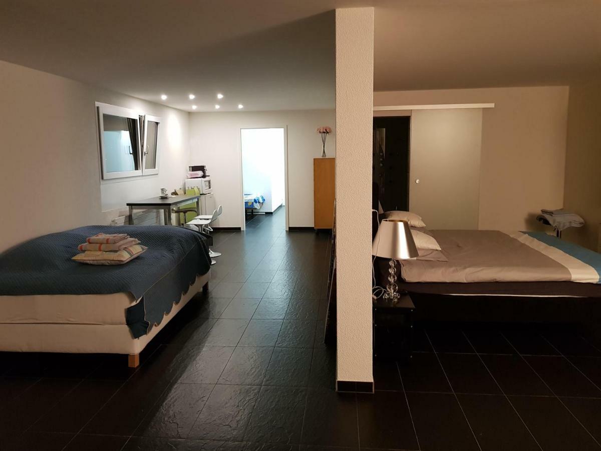 Nice Apartment In Horgen Near Lake And Pool Екстериор снимка